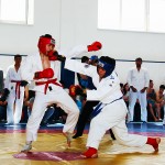 IMG_2920